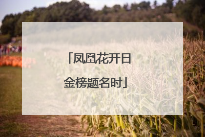 凤凰花开日 金榜题名时